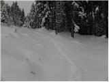 Tržič - Planina Zgornja Konjščica